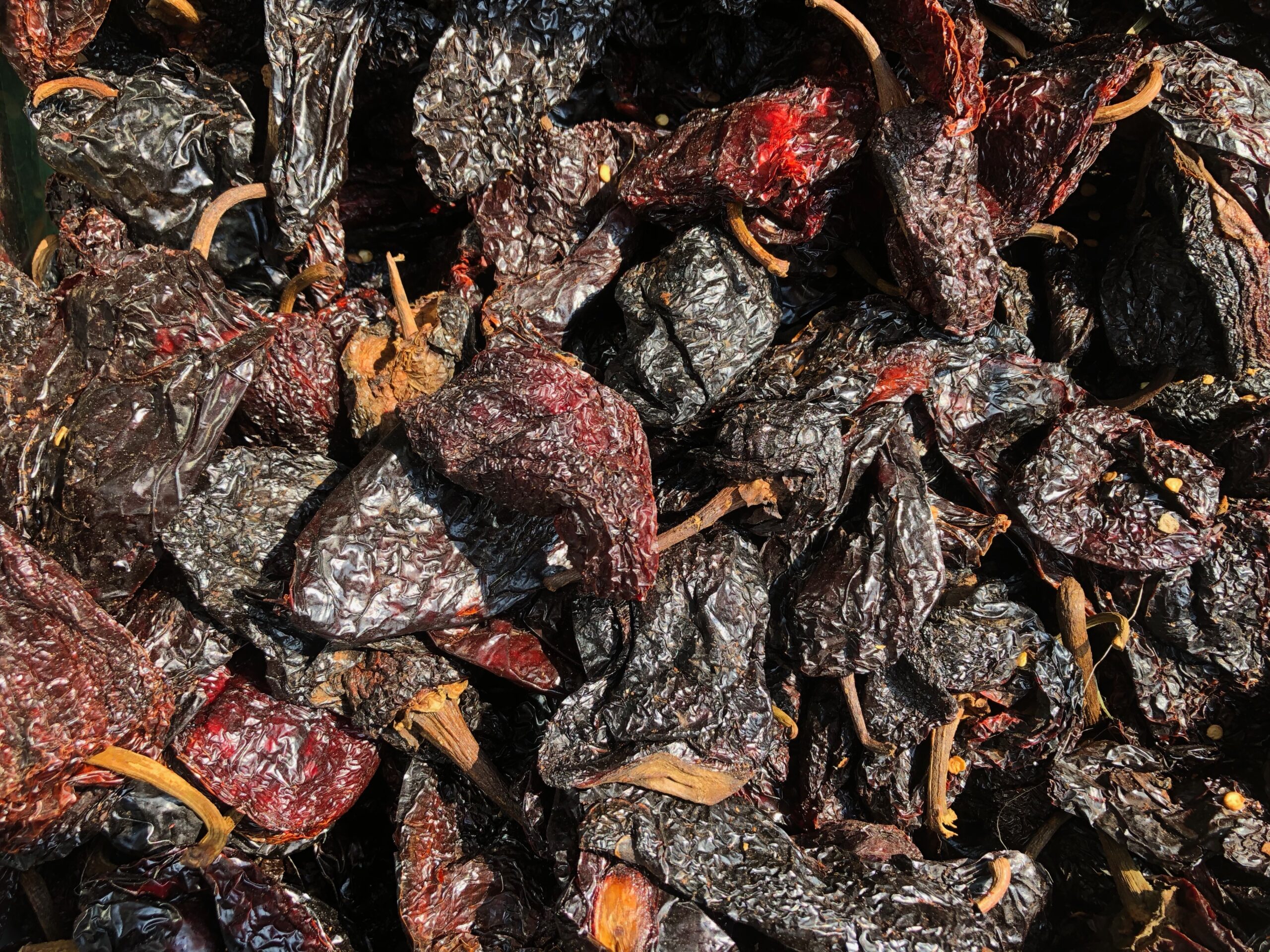 Chile Morita- El primo pequeño y frutal del Chipotle